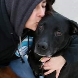 Fundraising Page: Noel Flanary